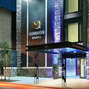 Condor Brooklyn New York